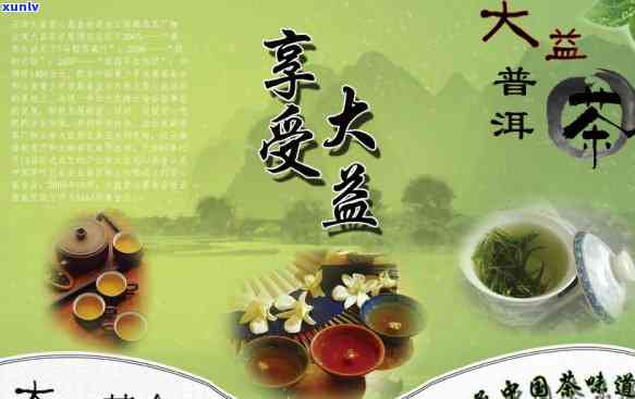 亮与普洱茶的传奇：一跨越千年的茶文化佳话