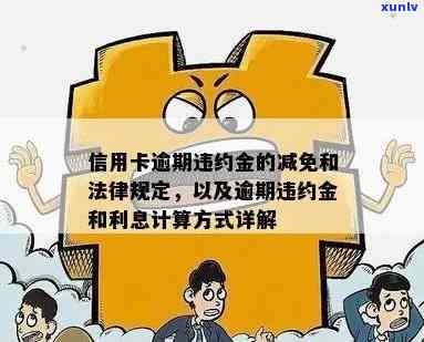 信用卡逾期违约金的计算与退费规定解析