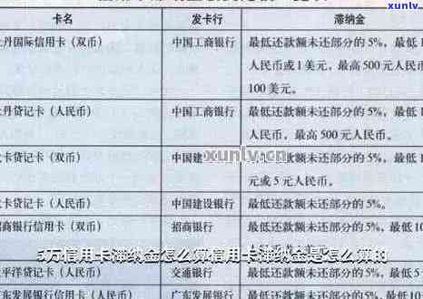 信用卡透支五万逾期一年的滞纳金和利息：您需要支付多少费用？