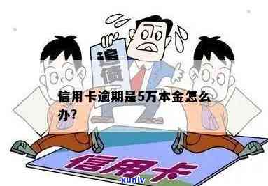 信用卡透支5万逾期怎么办：如何处理5万元以上逾期还款问题？