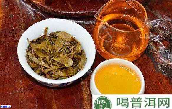 摘胆后能喝普洱茶吗