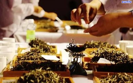 普洱茶采摘的时间和节是什么时候？一年中可以采茶几次？