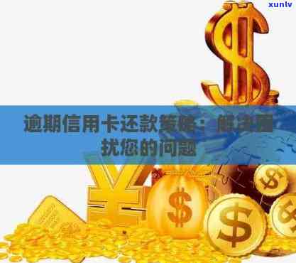 应对信用卡逾期还款困境：实用解决方案与建议