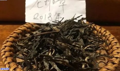 探究普洱千年古树茶价格及品质，了解如何选购和品鉴这种珍贵茶叶