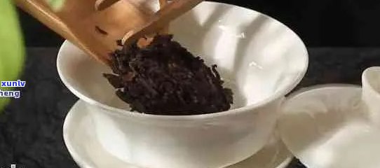 喝普洱茶用不用茶漏