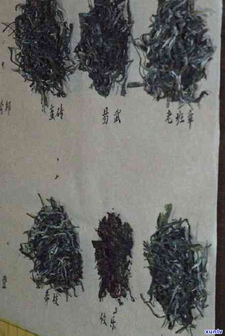 怎么能买到老普洱茶