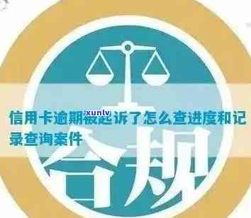 怎么查信用卡逾期被起诉名单信息？