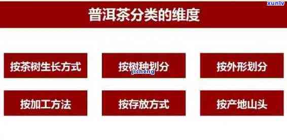 全面解析：普洱茶行业领导以及其特点和价值