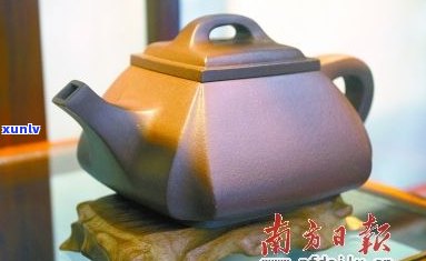 普洱茶冷泡的适用性及其泡法：探讨冷泡普洱茶的优缺点与操作技巧