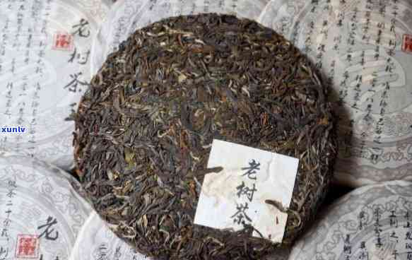 云南仓顺普洱茶： 昆明仓普洱茶， 云南老仓普洱茶， 云南仓顺普洱茶业出品