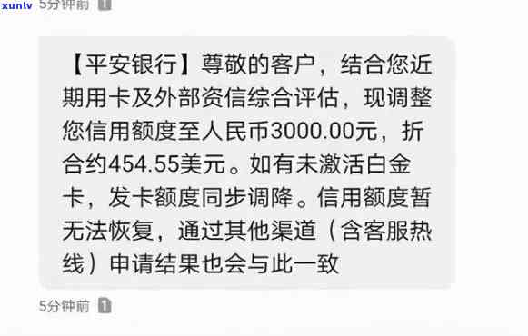 长时间未偿还平安信用卡欠款，可能会面临哪些后果与解决 *** ？