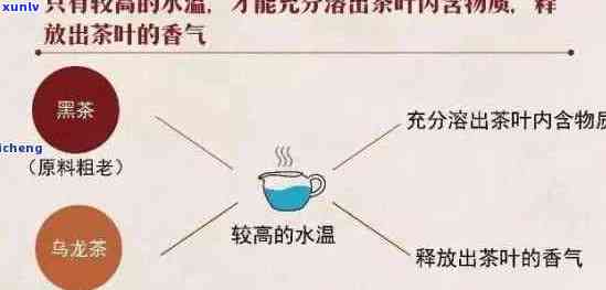 探究普洱茶烹饪时间：何时为正确煮茶时刻？