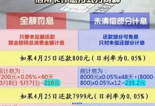 信用卡逾期还款后利息返还全流程，如何操作避免信用损失？