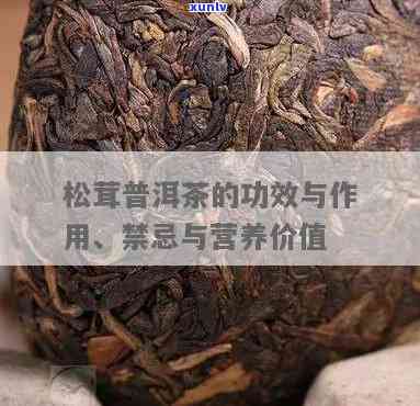 松茸普洱茶下火功效及饮用 *** ：百度百科详解