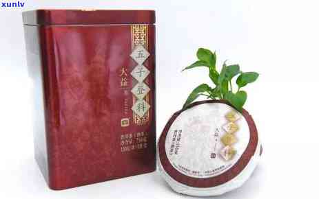 大益茶五子登科2017:年份精选普洱熟茶，品味经典口感与价格实