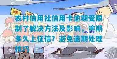 肃信合信用卡逾期利息多少农村信用社信用卡逾期利息相关资讯请参考。