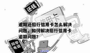 招商银行信用卡逾期解决方案：专业指导助您应对逾期挑战