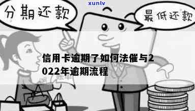 2022年信用卡逾期还款全方位解析：政策、流程、处理步骤详细解读