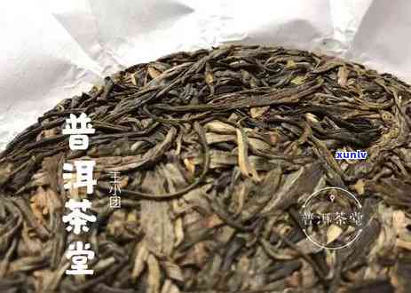 普洱茶表面长毛了还能喝吗？如何处理？