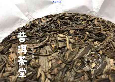 普洱茶表面长毛了还能喝吗？如何处理？