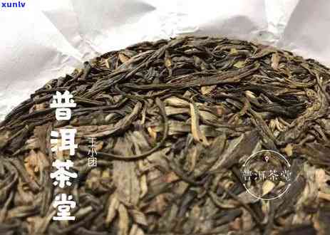 普洱茶有一个角长毛