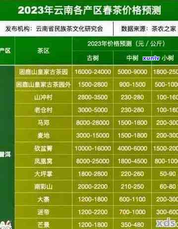 云源号普洱茶全系列价格解析：高品质茶叶的价格与品质对比