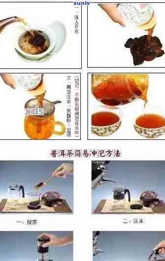 5年生普洱茶的品饮指南：步骤、技巧与正确饮用 *** 