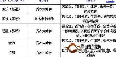 六大茶山古普洱茶的区别：从特点到 *** ，揭示其独特魅力