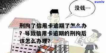 信用卡逾期导致人被拘留，家人未知卡号如何应对？