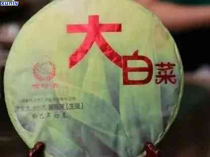 普洱茶大白菜是什么意思-普洱茶大白菜是什么意思啊