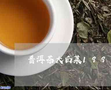 普洱茶大白菜是什么意思-普洱茶大白菜是什么意思啊