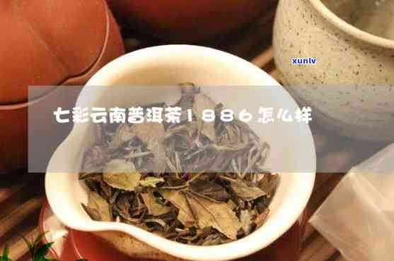 七彩云普洱茶能喝吗