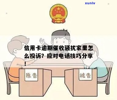 聘号普洱茶官网报价表：全面了解产品信息及价格，轻松选购优质茶叶