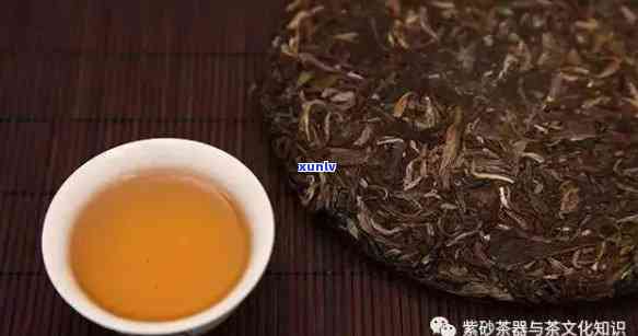 '普洱茶不同品种可以一起泡吗？'