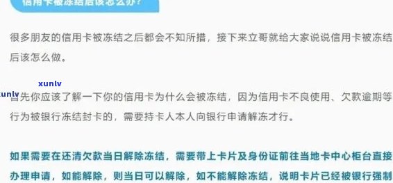 普洱茶和大红袍茶叶：全面对比与选择指南，让你轻松掌握两者差异与优劣