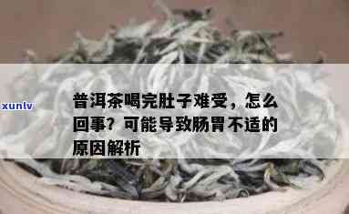 普洱茶饮用后肚子不适的原因及缓解 *** 探究