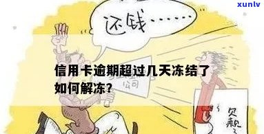 普洱一泡多少克合适：普洱茶一泡需要多少克，普洱茶一泡需要多少毫升水？