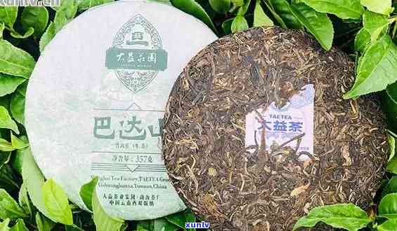 巴达山普洱茶生产商是谁-巴达山普洱茶生产商是谁家