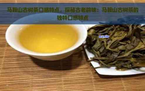 马鞍山普洱茶品质如何？口感特点及选购指南，让你全面了解！