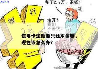 信用卡逾期怎么还不了本金？怎么办？