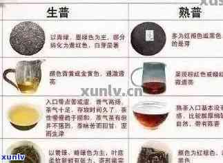 全面解析：百家普洱茶品种、品质、冲泡与品鉴，助你轻松成为普洱茶专家