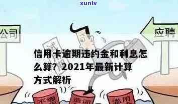 2021年信用卡逾期还款期限研究：影响因素与应对策略