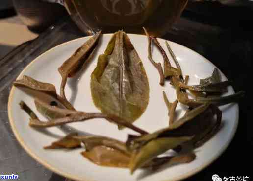 百花潭普洱茶：古树韵味，品质越的小高杆茶体验