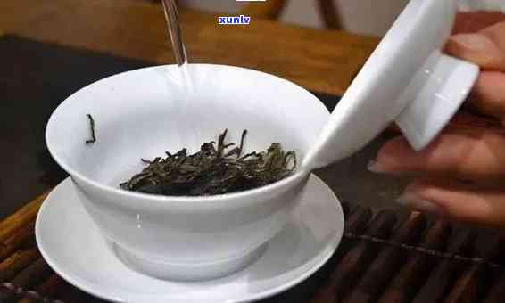 普洱茶冲泡详解：从选茶到冲泡的完整步骤，让你品尝到口感！