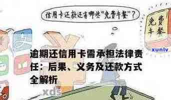 当朋友使用信用卡逾期，我被告知承担责任，我该怎么办？