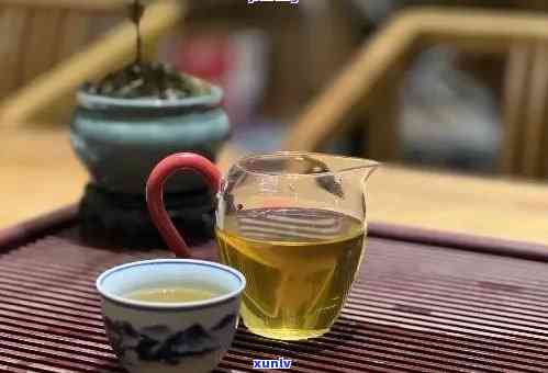 从选茶到泡茶：记老普洱茶的全方位品饮指南，让你喝出的味道！