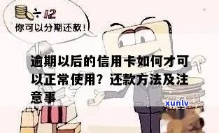 信用卡还款冲正问题解决指南：究竟什么是冲正，如何避免逾期