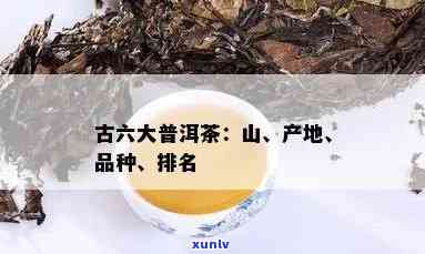 全面了解六大茶山普洱茶价格、品种与品质，助您轻松选购优质茶叶