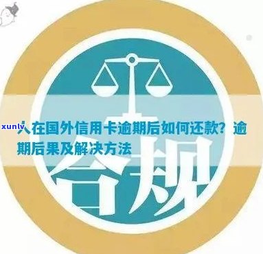 全面评估：翡翠福袋镶嵌手链的质量、价格和购买建议