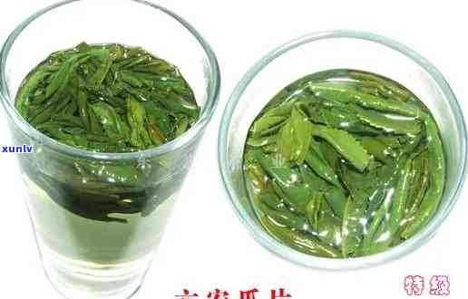 六安瓜片是名茶吗-六安瓜片是名茶吗?